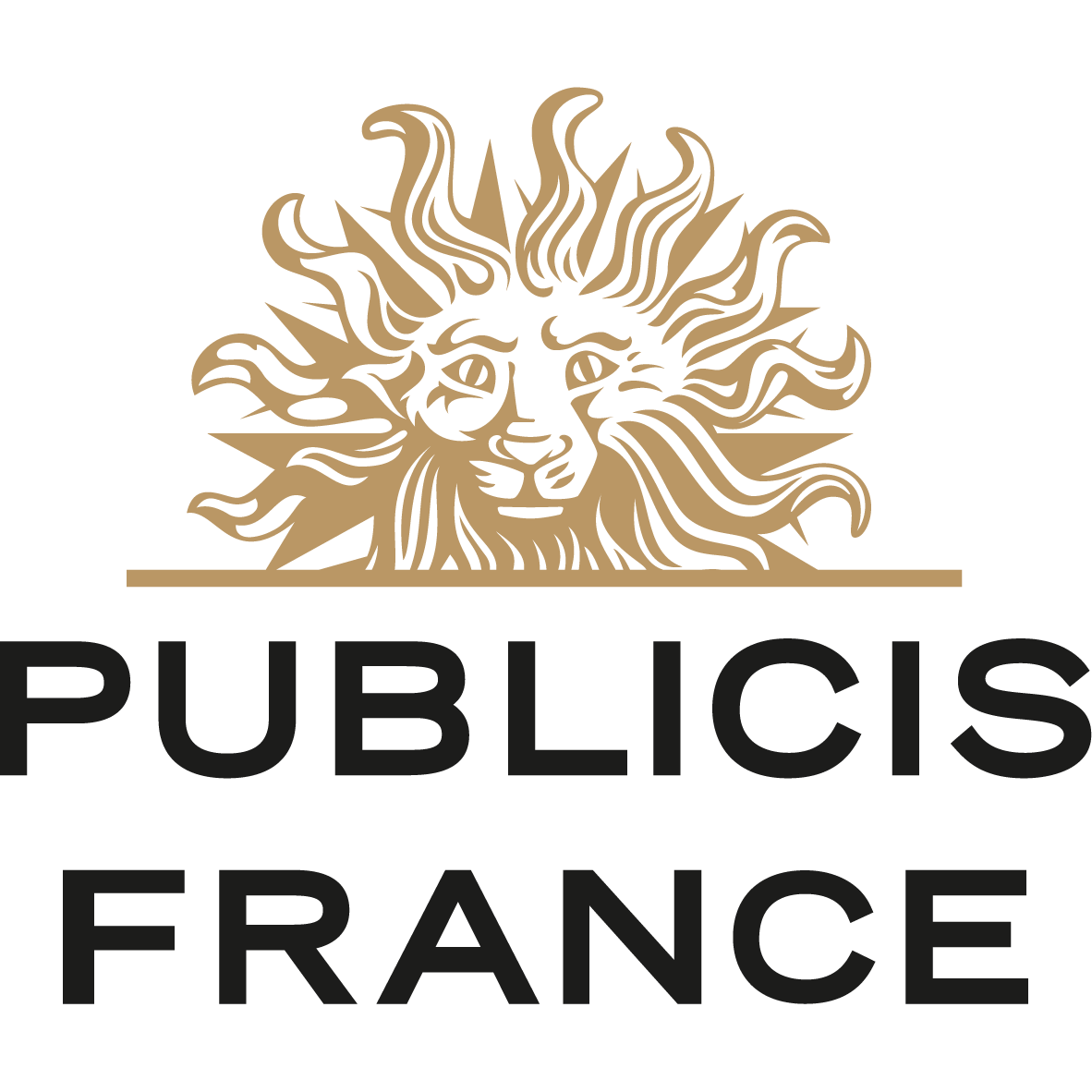 publicisfrancelogo publicisfrancelogo