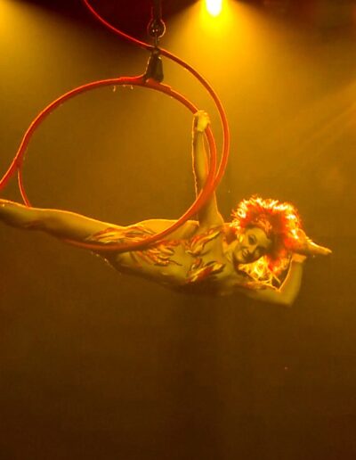 AA cerceau aerien phoenix