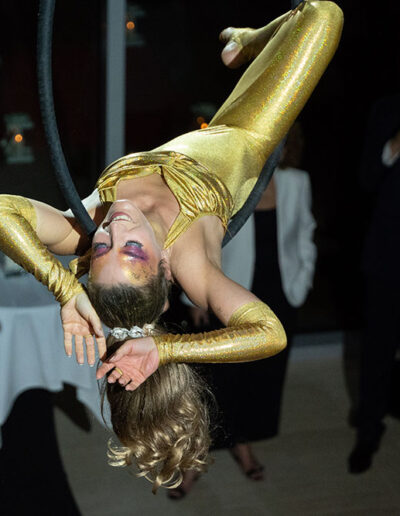 Extrait cerceau aerien James Bond LunaMaud