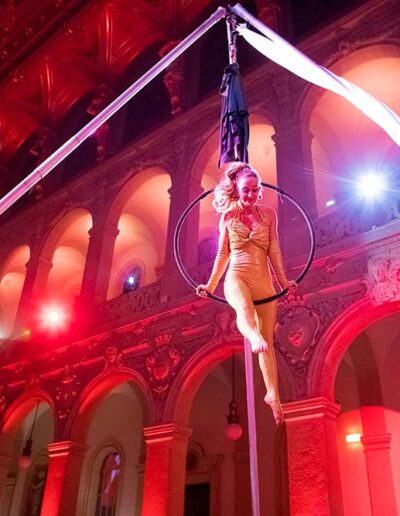 Spectacle cerceau aerien