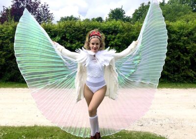 Spectacle papillon lumineux