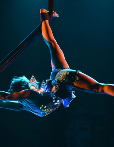 Dance aerial fabric