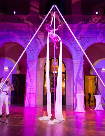 spectacle aerien saxophone