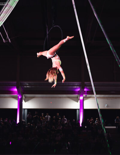 toulouse Cerceau aerien LunaMaud
