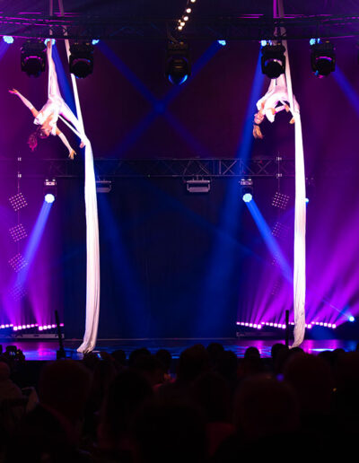 duo aerien synchronise