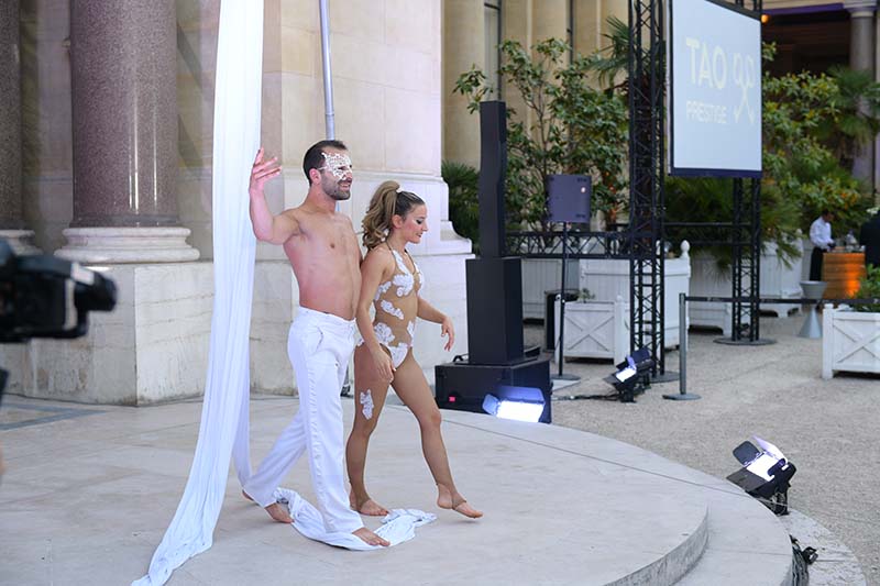 Duo tissu aerien LunaMaud Petit Palais Paris