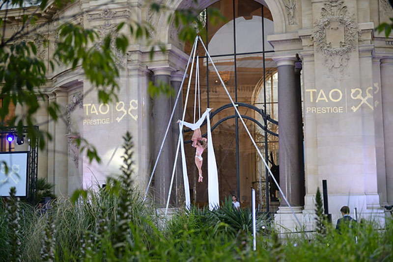 Petit Palais Paris duo tissu aerien