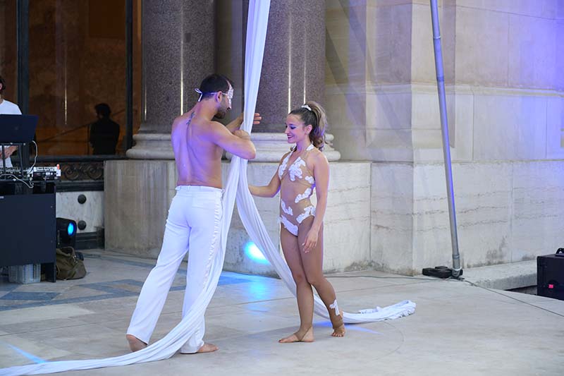 Spectacle tissu aerien Petit Palais