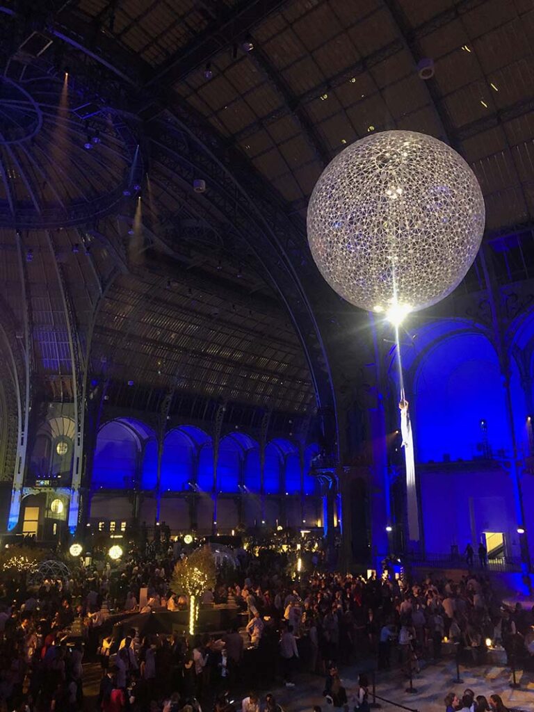 spectacle aerien grand palais paris