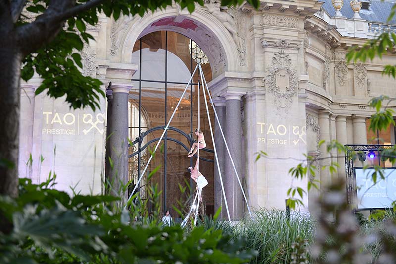 spectacle duo tissu aerien LunaMaud Petit Palais